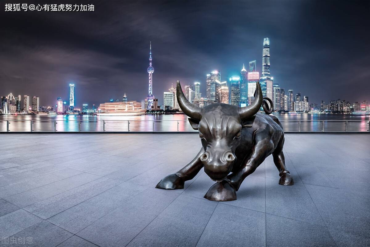 我要投资排行_《我要投资》第二季第5期——专业的建议是比名次更重要的收获