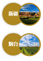 国产|破纪录的140枚奖牌，中国酒在第十五届G100大赛中再创佳绩