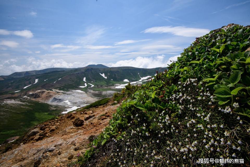 银河横卧，棕熊乘凉。北海道的脊梁骨，在大雪山系中蔓延的夏季绝景！