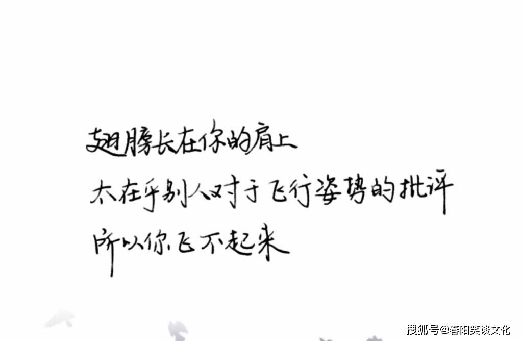 人生经历感悟经典的句子,句句经典至极,看懂你就赚到了