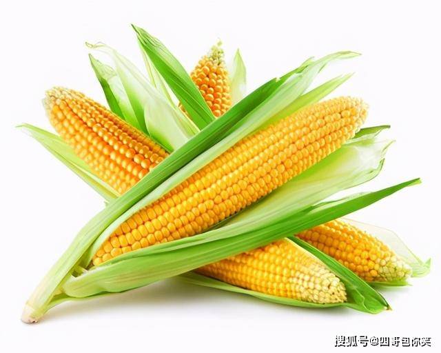 ace5e49db04245eba10c91cabc6db51d.jpeg