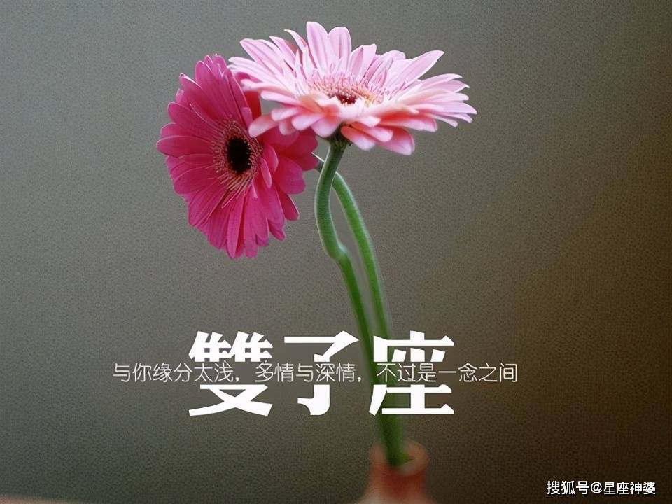 怎样才能长心眼有心机 cc29dacaa33841a298b993ba0e74932a.jpeg