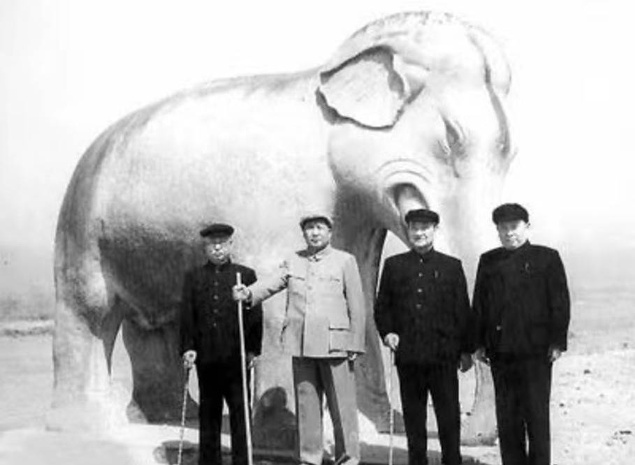 演技|没想到张艺兴还是红四代，家人身份不简单，今凭扫黑风暴再次爆红