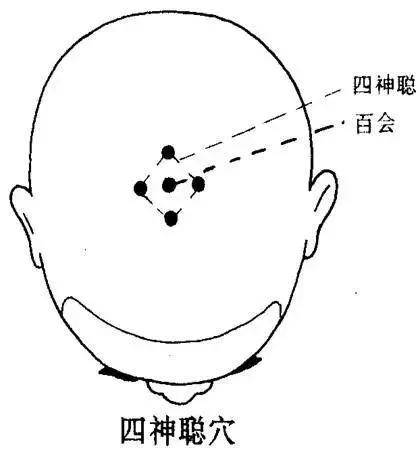头皮|养发护发诀窍大放送！不做秃头少女！！！