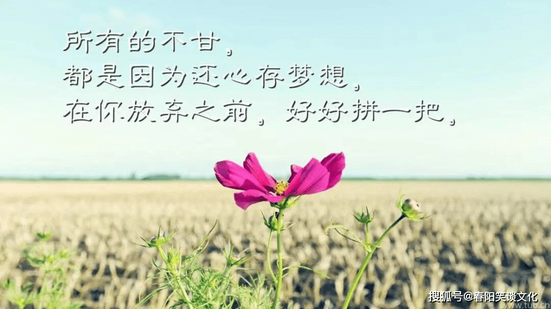 297b793fd8e749ac894351b30342c8a9.png