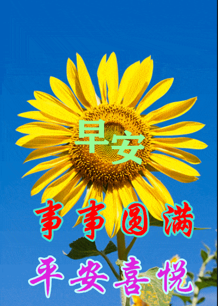 原创2021年8月18日星期三清晨早上好问候祝福图片周三最新早安问候