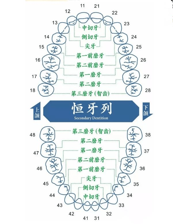 刷牙呀简谱_刷牙钢琴简谱(2)