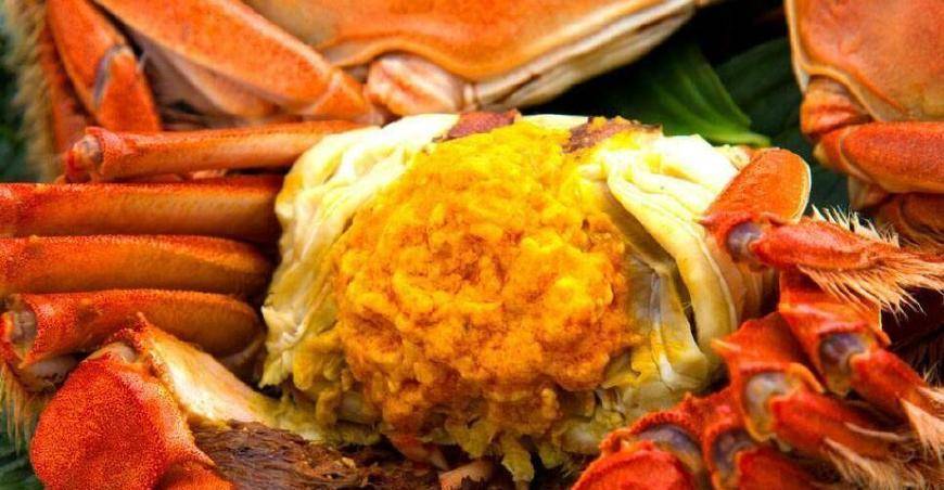 螃蟹蒸多长时间才最鲜 6a0dcdb4b0364c50a5608683a73aa823.jpeg