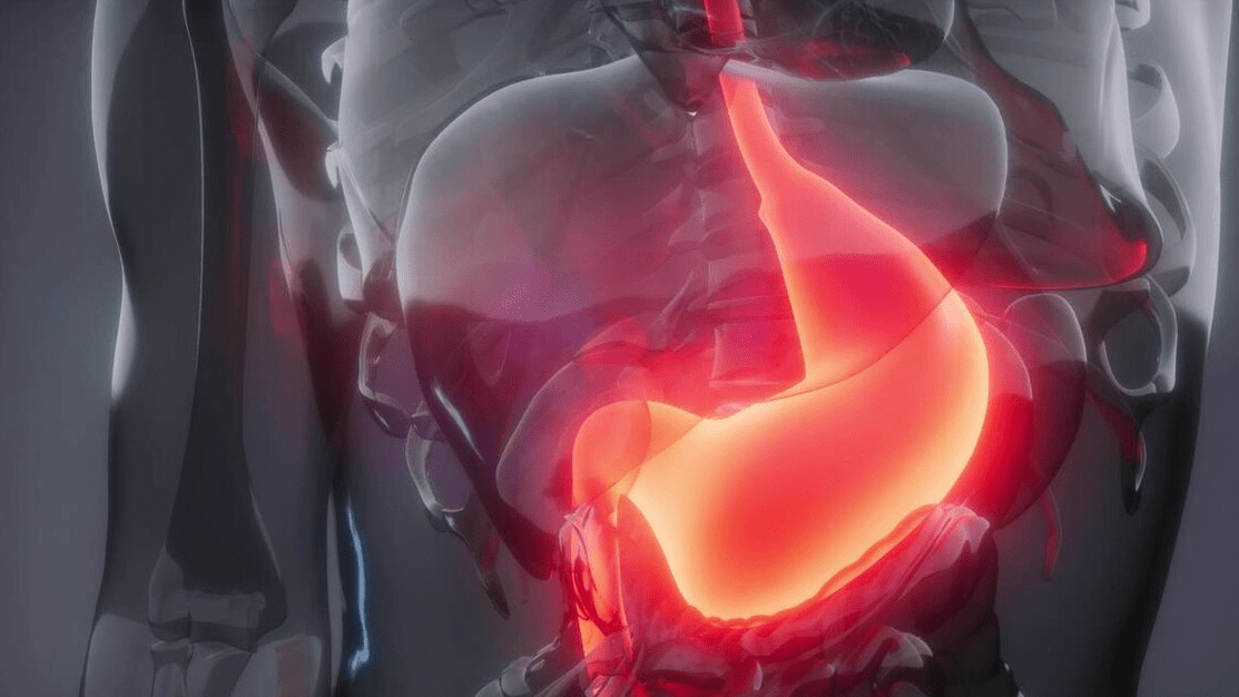 腐蚀性|胃液腐蚀性极强，能溶解其它动物的胃，为什么不先溶解自己？