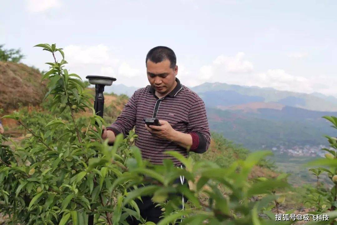 三维|极飞三维航线在手，果树飞防不愁！