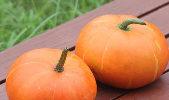 水平|血糖高的人多吃这几种食物，体内血糖或许会“乖乖听话”