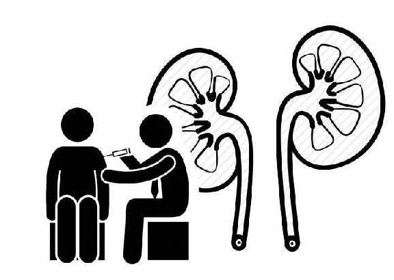 肾脏|我国290万患者:之所以患上尿毒症,大多数人因犯了这个错误