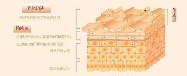 宝典|皮肤暗沉发黄又显老的女生，送你5个护肤宝典，让你拥有牛奶肌