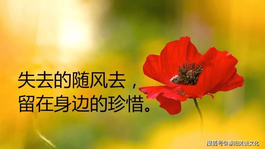 大家怎么说早安 c7c5ff183670474d8f1b0cf4ebf00754.png