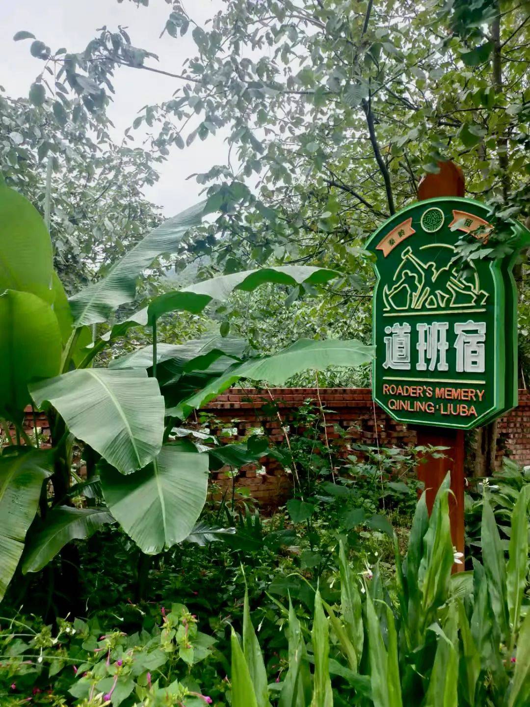 道班宿,一个由秦岭深处的废弃道班改造而成的民宿