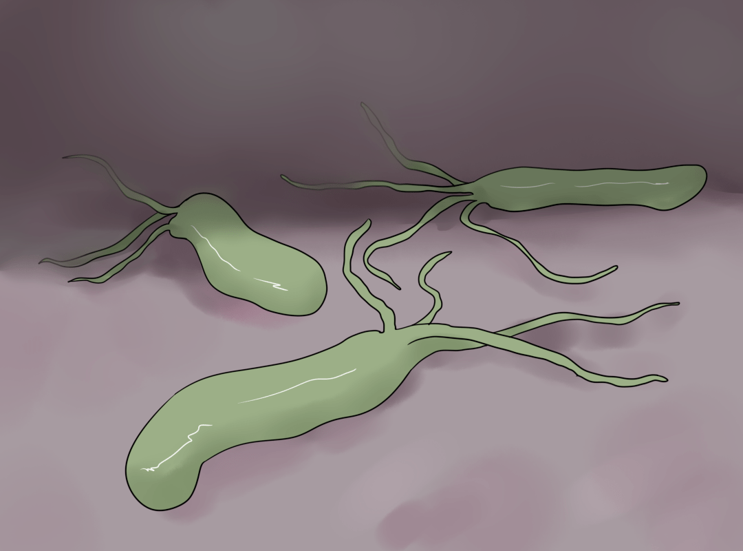筛查|一人中招全家感染！传播幽门螺杆菌，全在这4个动作里！