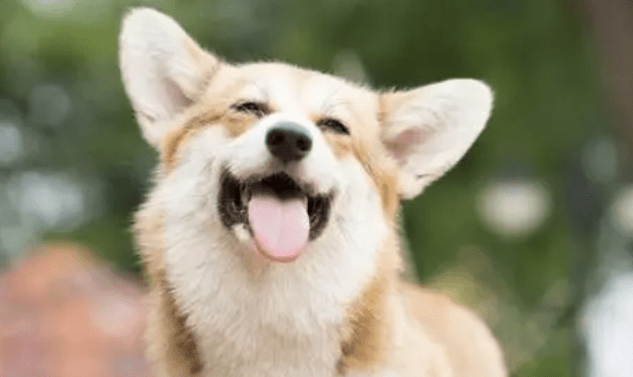 肝脏|肝脏好不好，竖起拇指就知道！若没有3个“异常”，肝脏还算干净