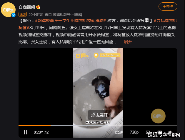 事件|网曝疑似商丘某高校学生虐狗事件：丧心病狂引起网友声讨