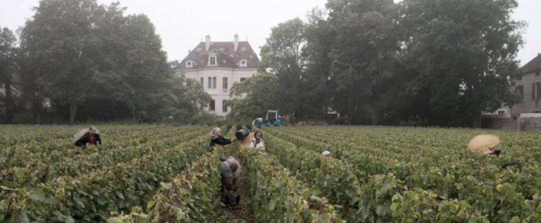 进行|劳伦彭寿&拉芳伯爵,优质地块!