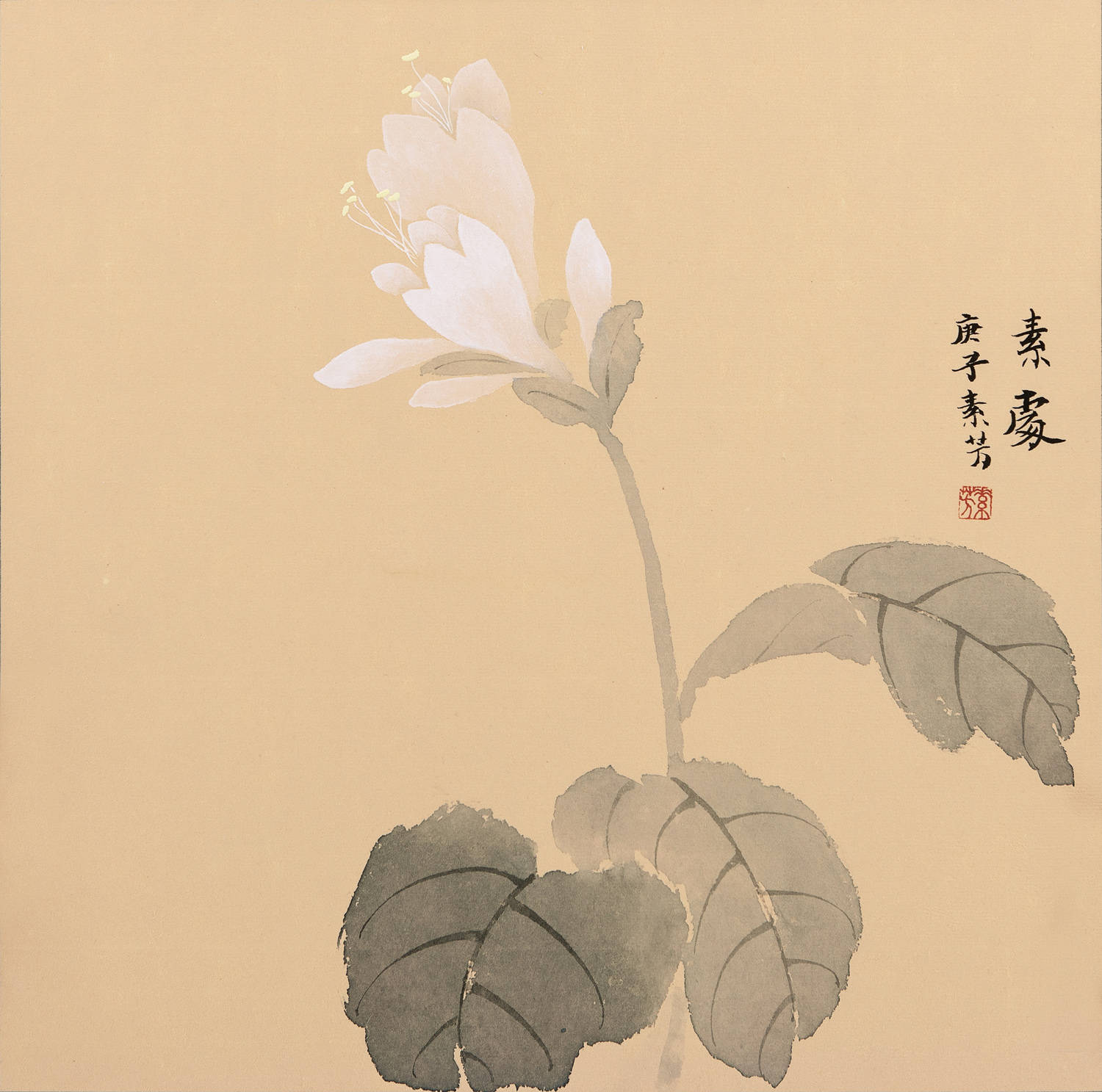 画作欣赏淡雅优美抚慰心灵画家赵素芳作品欣赏