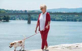 能力|肺心病患者该如何调养呢?