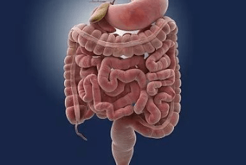c9f0635ec92b45919efd4e530da5c1cf.png