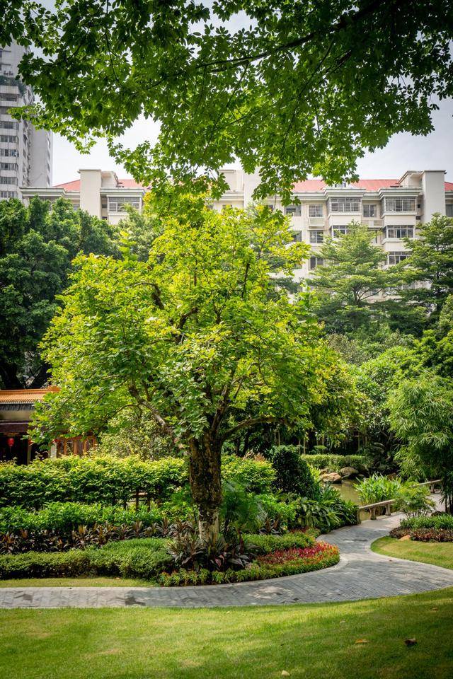 广州花园酒店果真住进了花园里