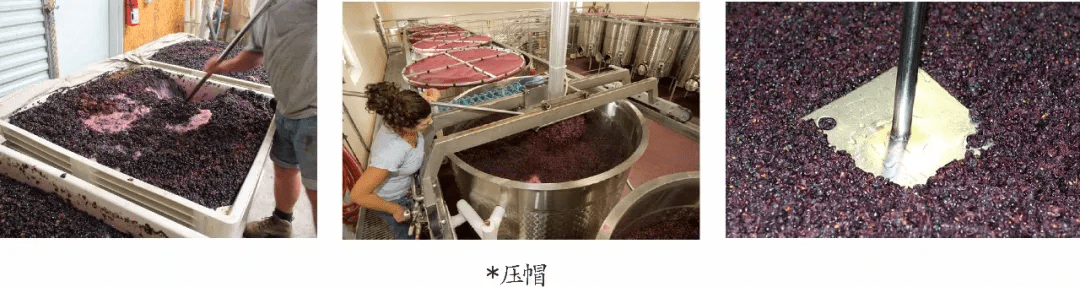 方法|别卡速：格鲁吉亚葡萄酒品酒师课程（十三）