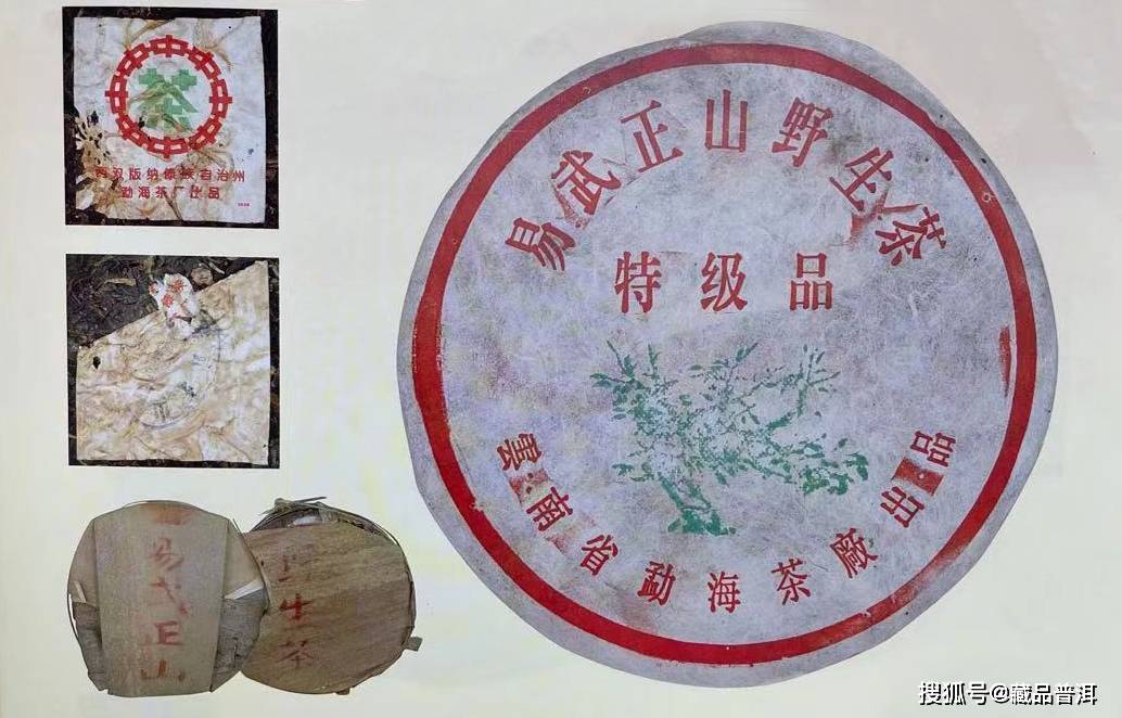 绿大树易武正山野生茶，4大族系茶品如何辨别？这些细节请认清_搜狐网
