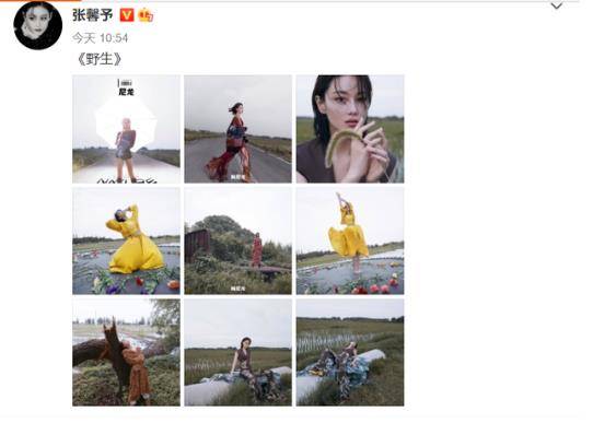 曲线|张馨予罕见晒公路野生大片，放飞自我展现曼妙曲线，身材火辣性感