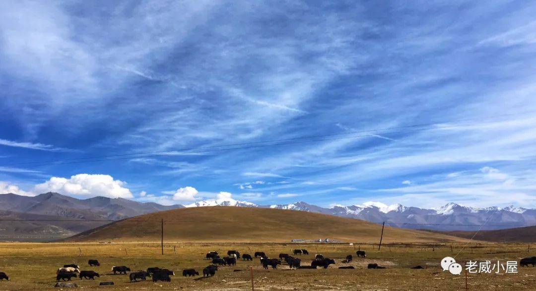 有氧|你跑不快，是因为有氧基础差