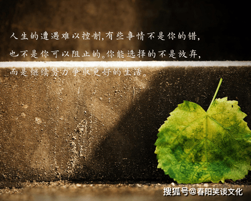 禅语感悟人生的心灵鸡汤寓意深刻值得你一读再读