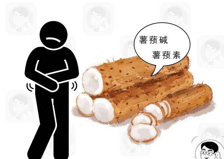 肾脏|想要避免尿毒症,这些“肾毒性”食物,最好别吃