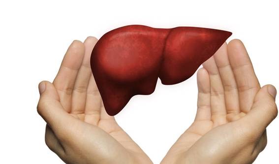 垃圾|肝开始变硬,晨起会有这四个变化,占一个都不行,务必及时去检查