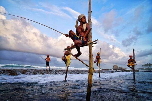 古树茶海、鲸跃浪尖，斯里兰卡成为穷游圣地，并不仅仅是靠“穷”