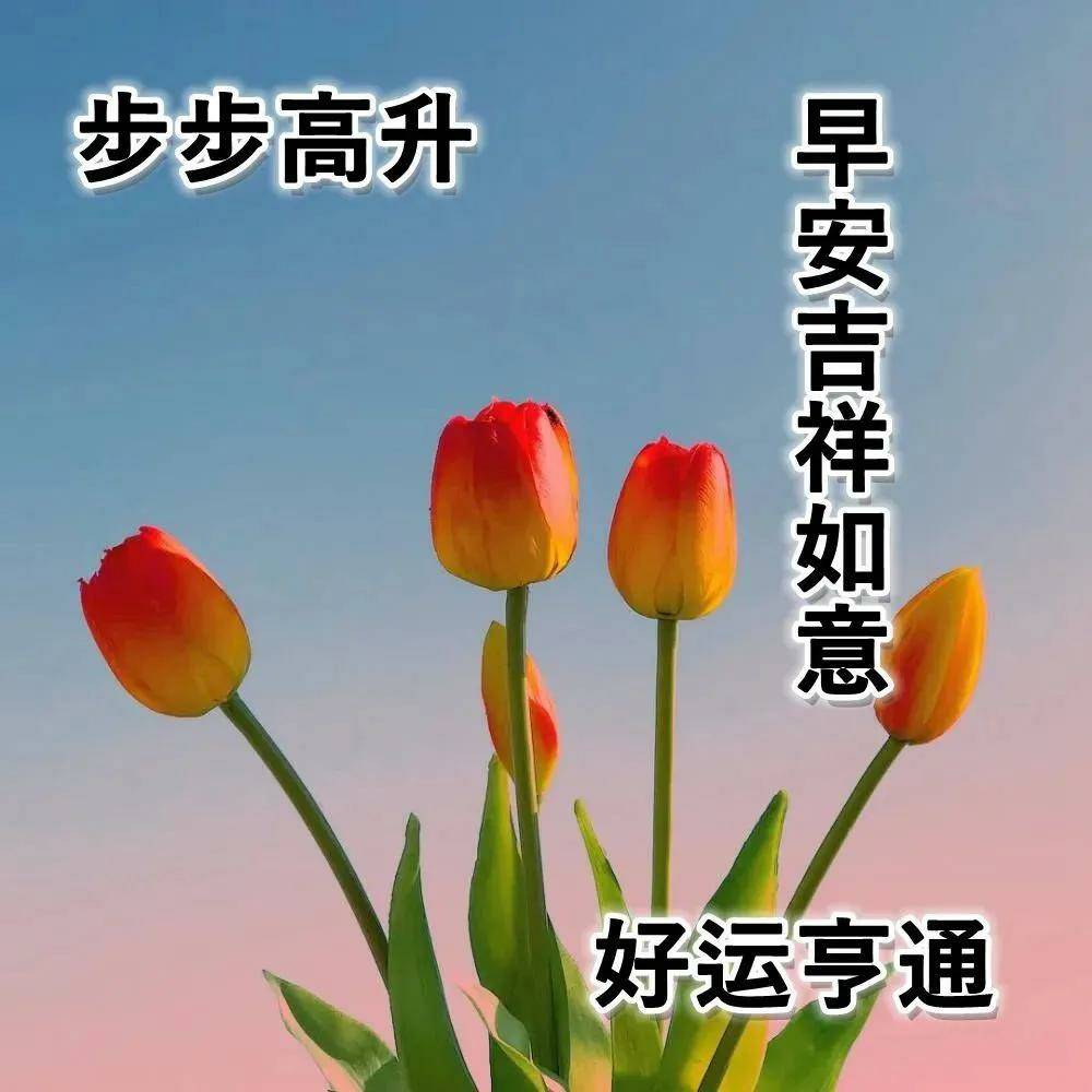 早上好溫馨祝福語,早安祝福圖片精選_問候