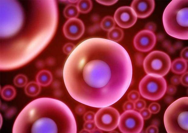 卵子|孕产｜女性最晚生二胎是几岁？医生：超过这年龄建议不要生了