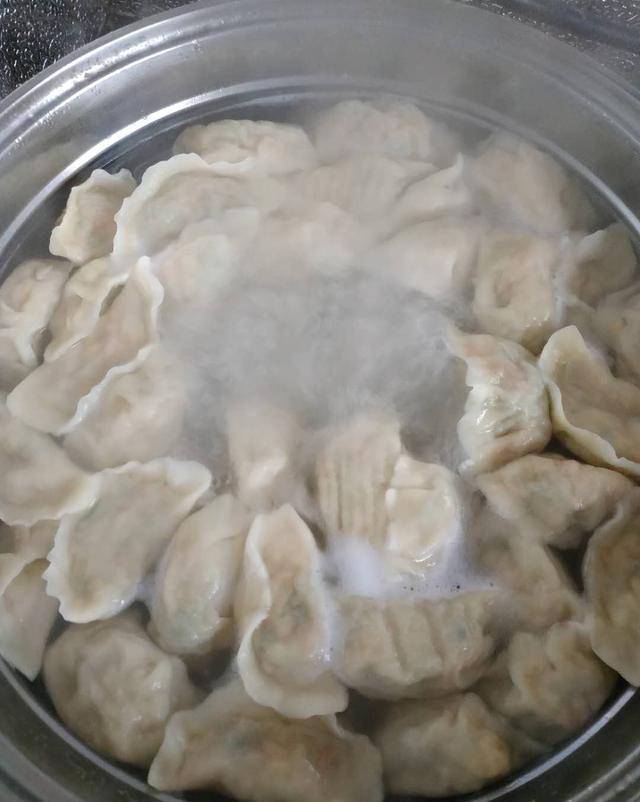 适合小孩吃的牛肉饺子 04d64c69858f4da08125ba1278538db6.jpeg