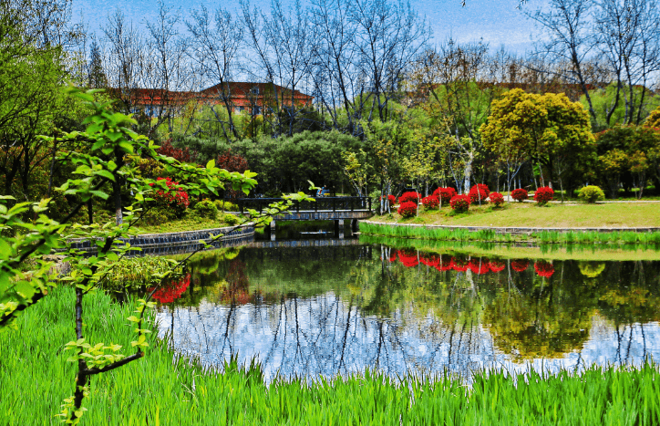 宝山超多景点入选!快带上家人去打卡吧~_上海市