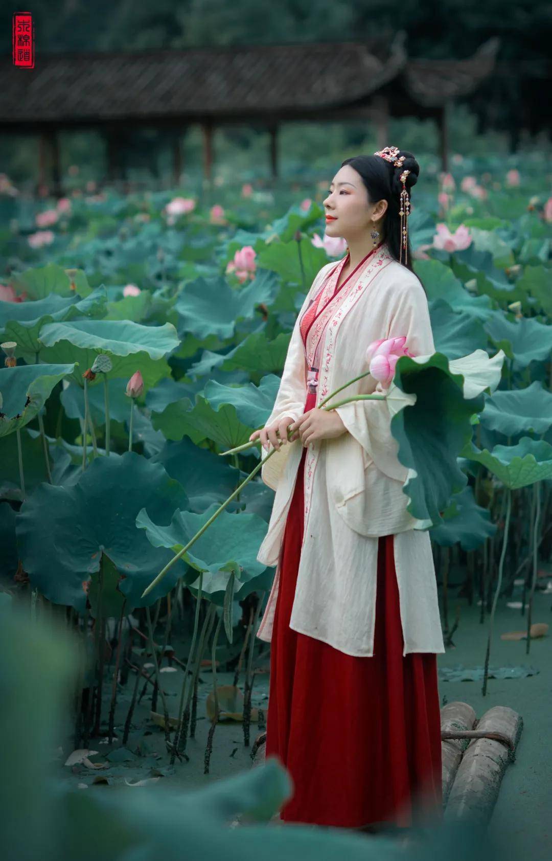 穿越|木棉道 | 央视主持人也玩“汉服变装”,你心动吗?