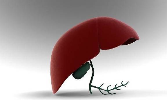 肝脏|肝不好，身体会“说话”？若有这5个信号，可能是提醒你该养肝了