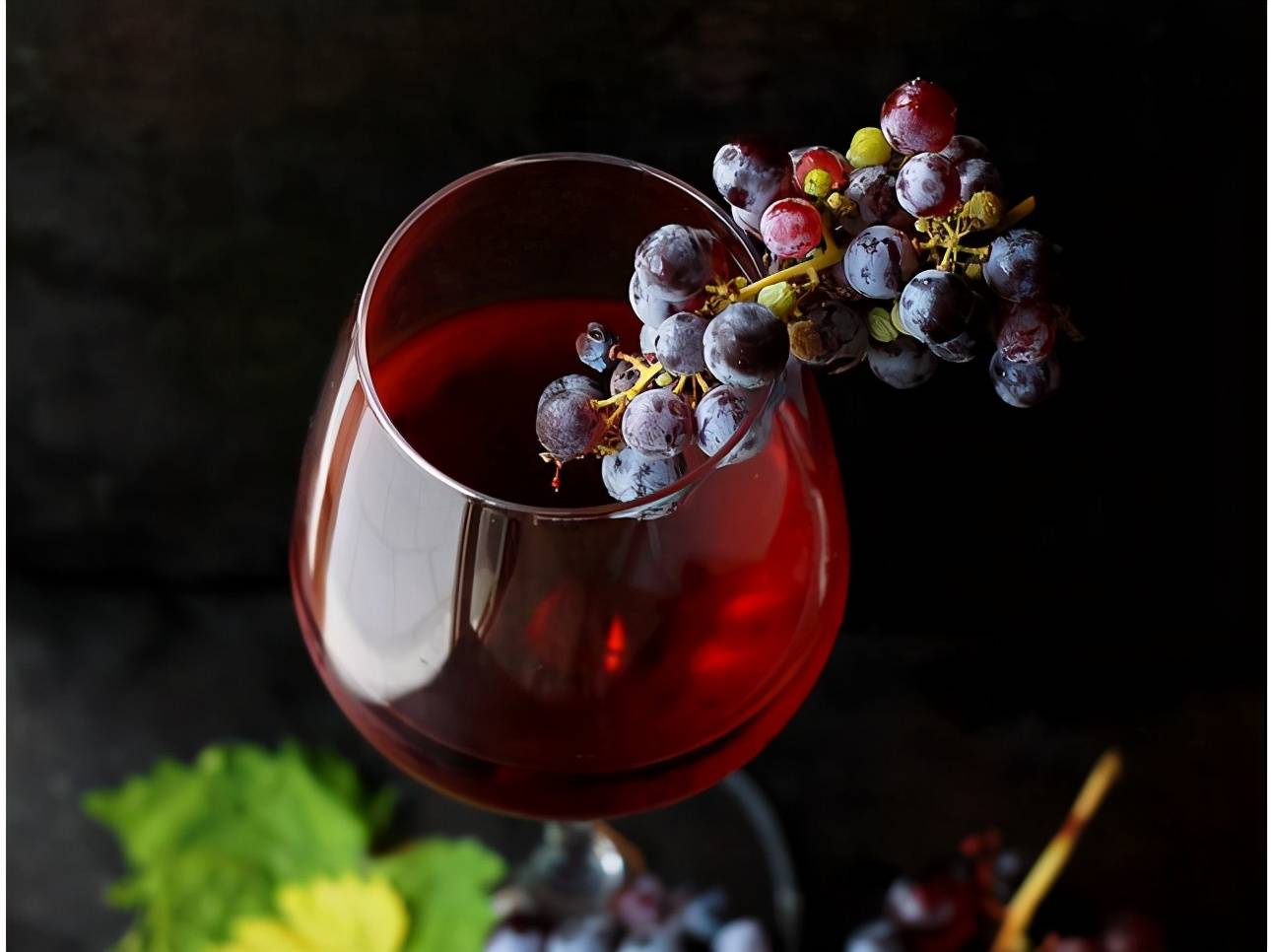 说法|为什么自酿葡萄酒不建议你喝？自酿葡萄酒有毒，这说法有什么依据？