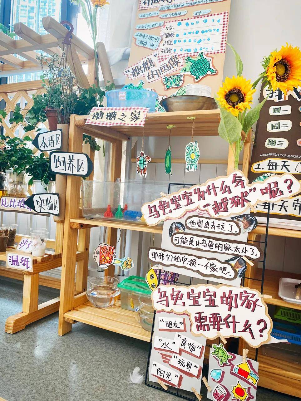 原则|金睿云学院：100＋精选图，教你搞定幼儿园秋季环创（幼师收藏）