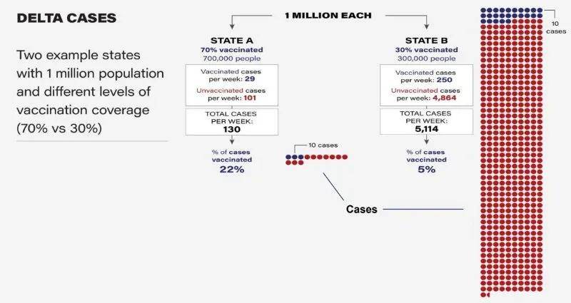 疫苗|美国现存多少变种新冠病毒？疫苗有效性8月最新数据，看这里！