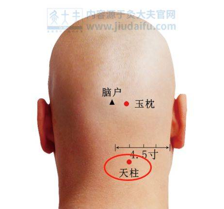 甲癌淋巴转移属于几期 560fb33af62c4efead18c8b3e6c5ee6b.jpeg