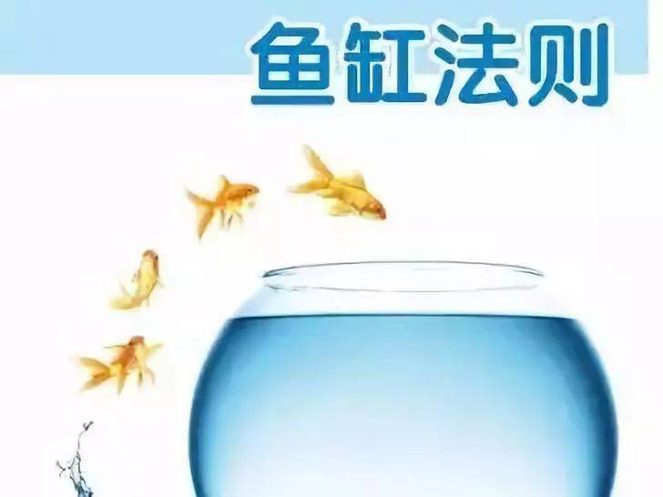 梦见自己把鱼缸从高处碰掉，预示的深层含义与心理解析