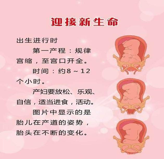 几月份怀孕是在八月生 12773525c4a84bab9efdae5f4bac8046.jpeg