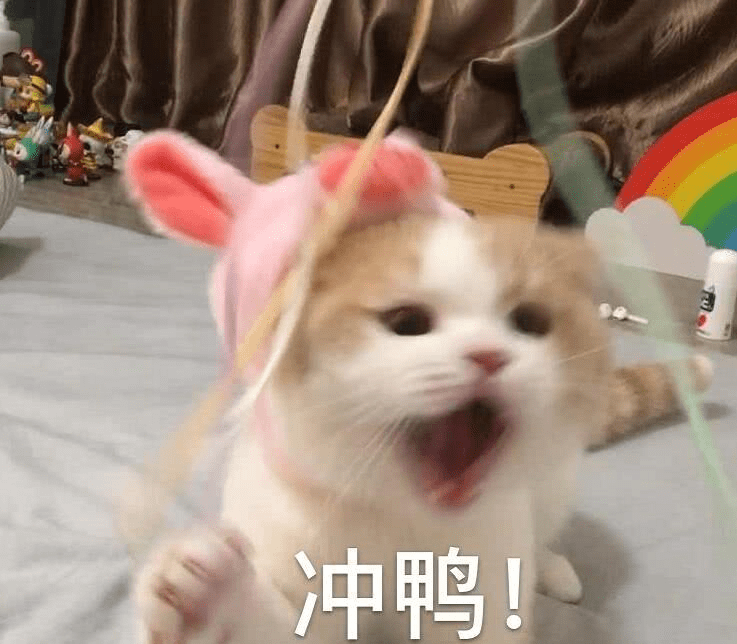 水箱|年轻人第一台毛孔“吸尘器”，要想干净洁白不用刷酸，3次见效
