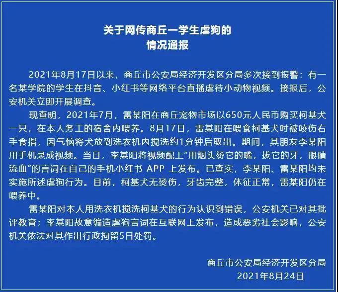 处理结果|洗衣机小柯基找到了！但处理结果……