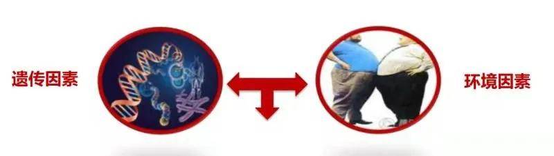 我国|糖尿病离我们远吗？糖尿病的预防